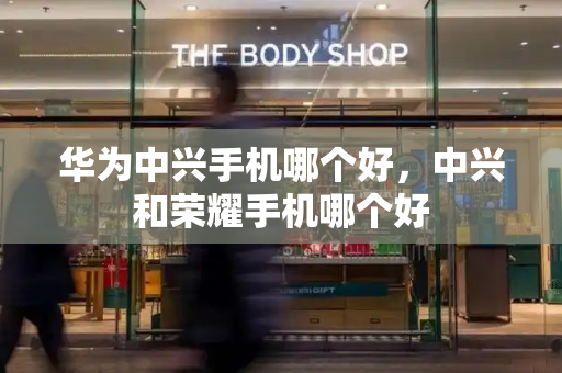 华为中兴手机哪个好，中兴和荣耀手机哪个好-第1张图片-星选测评