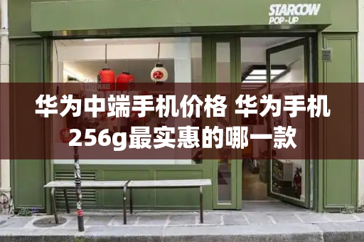 华为中端手机价格 华为手机256g最实惠的哪一款-第1张图片-星选测评