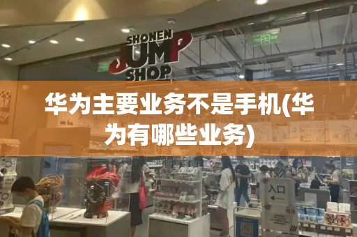 华为主要业务不是手机(华为有哪些业务)-第1张图片-星选测评