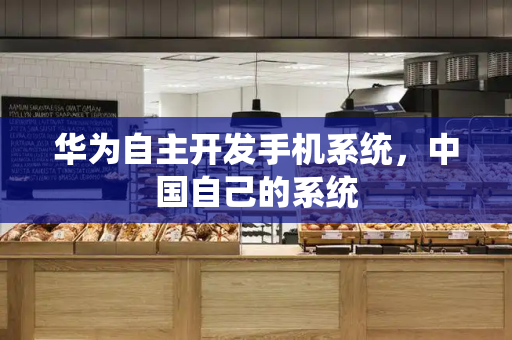 华为自主开发手机系统，中国自己的系统-第1张图片-星选测评