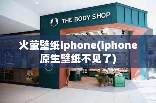 火萤壁纸iphone(iphone原生壁纸不见了)
