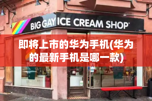 即将上市的华为手机(华为的最新手机是哪一款)-第1张图片-星选测评