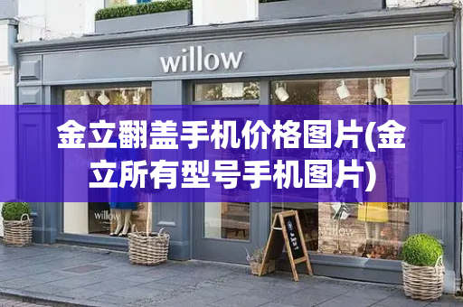 金立翻盖手机价格图片(金立所有型号手机图片)-第1张图片-星选测评