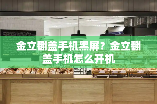 金立翻盖手机黑屏？金立翻盖手机怎么开机-第1张图片-星选测评