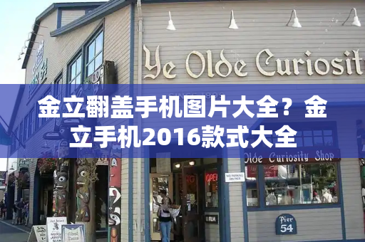 金立翻盖手机图片大全？金立手机2016款式大全