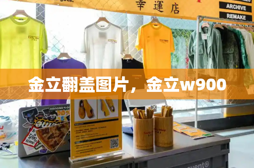 金立翻盖图片，金立w900