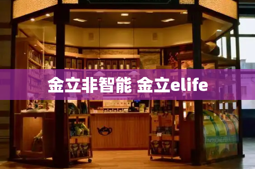 金立非智能 金立elife