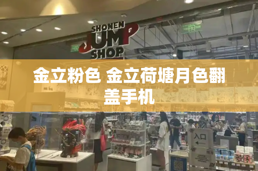 金立粉色 金立荷塘月色翻盖手机-第1张图片-星选测评