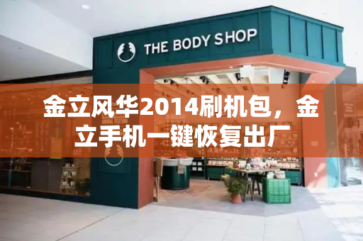 金立风华2014刷机包，金立手机一键恢复出厂-第1张图片-星选测评