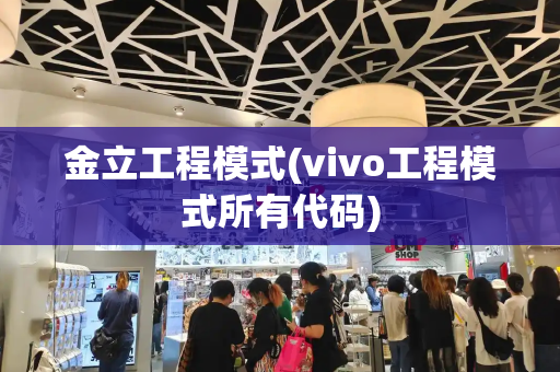 金立工程模式(vivo工程模式所有代码)