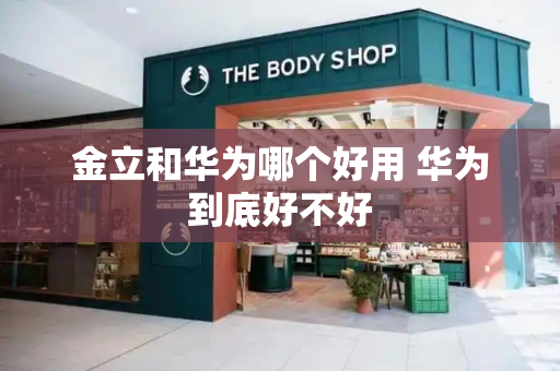 金立和华为哪个好用 华为到底好不好-第1张图片-星选测评