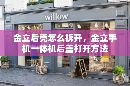 金立后壳怎么拆开，金立手机一体机后盖打开方法-第1张图片-星选测评
