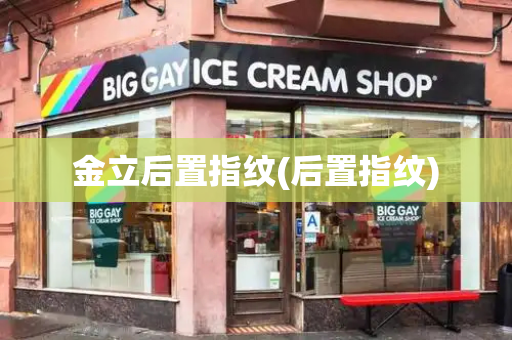 金立后置指纹(后置指纹)