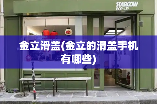 金立滑盖(金立的滑盖手机有哪些)-第1张图片-星选测评