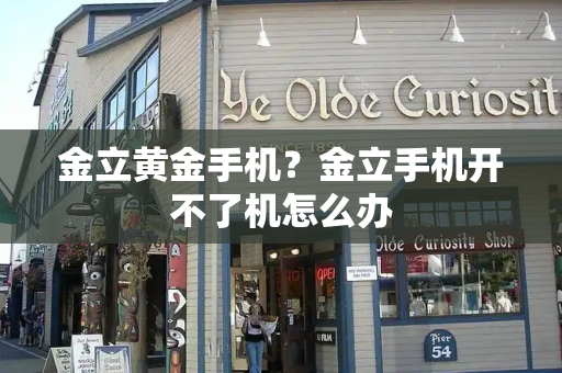金立黄金手机？金立手机开不了机怎么办-第1张图片-星选测评