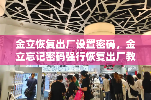 金立恢复出厂设置密码，金立忘记密码强行恢复出厂教程-第1张图片-星选测评