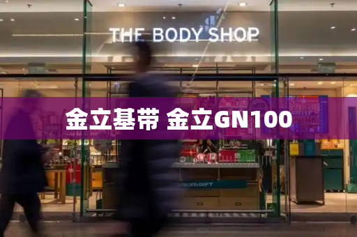 金立基带 金立GN100-第1张图片-星选测评