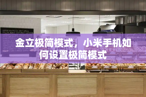 金立极简模式，小米手机如何设置极简模式-第1张图片-星选测评