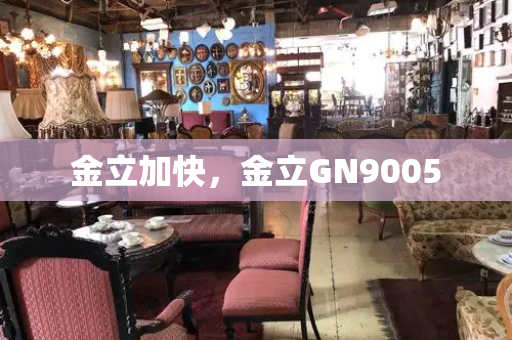 金立加快，金立GN9005