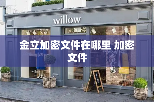 金立加密文件在哪里 加密文件