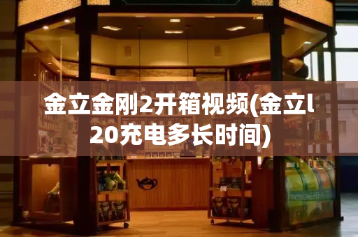 金立金刚2开箱视频(金立l20充电多长时间)-第1张图片-星选测评