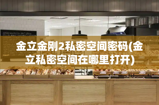 金立金刚2私密空间密码(金立私密空间在哪里打开)
