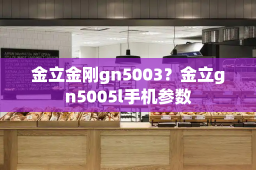 金立金刚gn5003？金立gn5005l手机参数-第1张图片-星选测评
