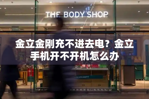 金立金刚充不进去电？金立手机开不开机怎么办-第1张图片-星选测评