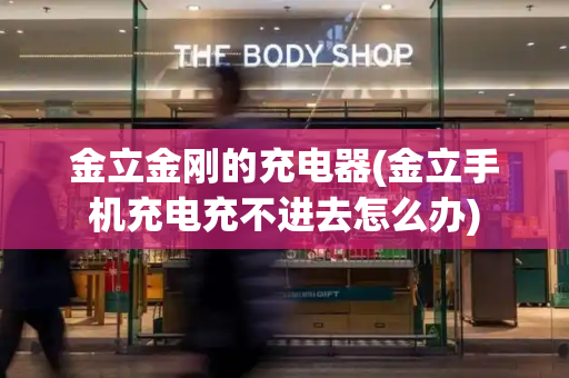 金立金刚的充电器(金立手机充电充不进去怎么办)-第1张图片-星选测评