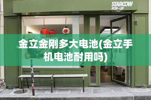 金立金刚多大电池(金立手机电池耐用吗)-第1张图片-星选测评