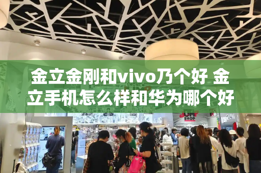 金立金刚和vivo乃个好 金立手机怎么样和华为哪个好-第1张图片-星选测评