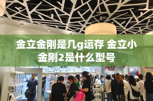 金立金刚是几g运存 金立小金刚2是什么型号-第1张图片-星选测评