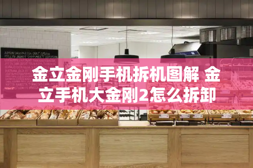 金立金刚手机拆机图解 金立手机大金刚2怎么拆卸