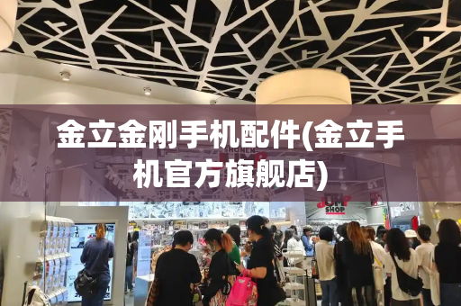 金立金刚手机配件(金立手机官方旗舰店)