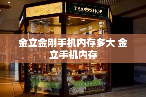 金立金刚手机内存多大 金立手机内存-第1张图片-星选测评
