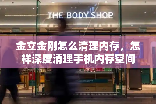 金立金刚怎么清理内存，怎样深度清理手机内存空间-第1张图片-星选测评