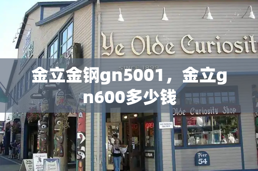 金立金钢gn5001，金立gn600多少钱-第1张图片-星选测评