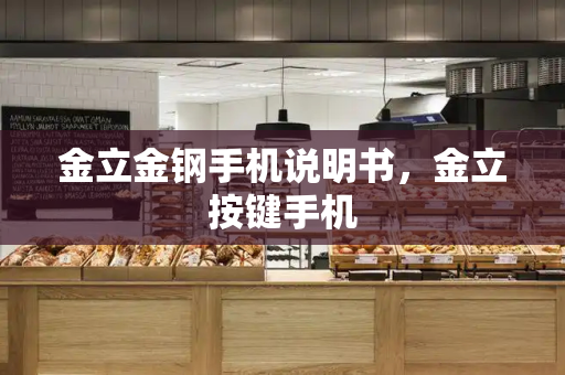 金立金钢手机说明书，金立按键手机-第1张图片-星选测评