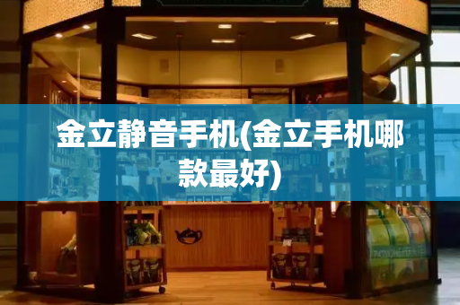 金立静音手机(金立手机哪款最好)