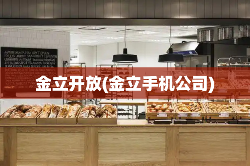 金立开放(金立手机公司)