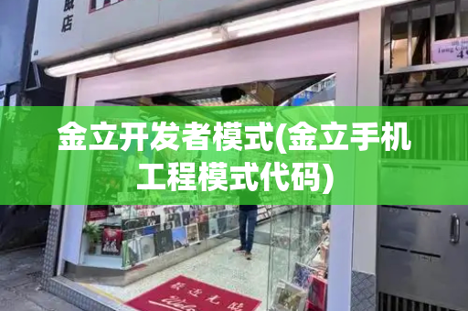 金立开发者模式(金立手机工程模式代码)