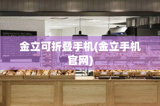 金立可折叠手机(金立手机官网)-第1张图片-星选测评