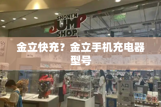 金立快充？金立手机充电器型号-第1张图片-星选测评