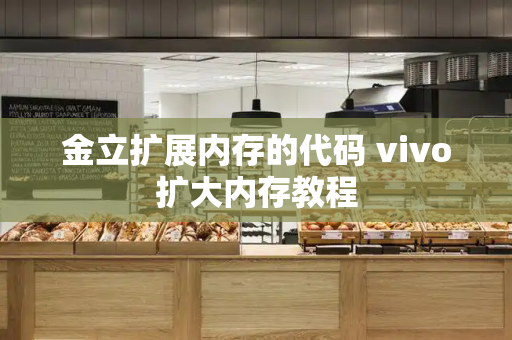 金立扩展内存的代码 vivo扩大内存教程-第1张图片-星选测评