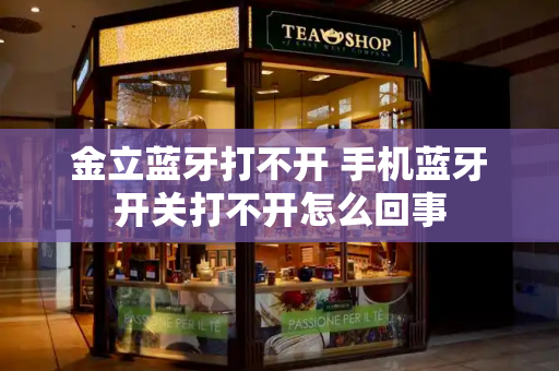 金立蓝牙打不开 手机蓝牙开关打不开怎么回事-第1张图片-星选测评