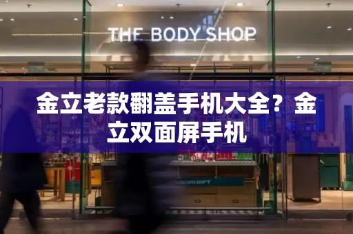 金立老款翻盖手机大全？金立双面屏手机-第1张图片-星选测评
