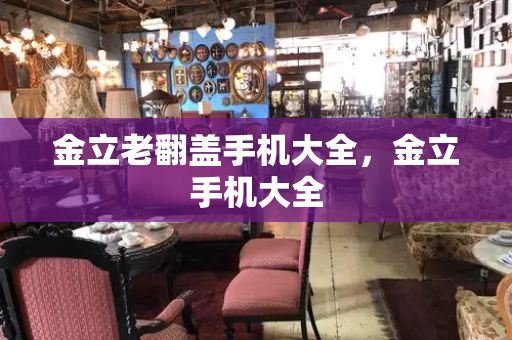 金立老翻盖手机大全，金立手机大全-第1张图片-星选测评