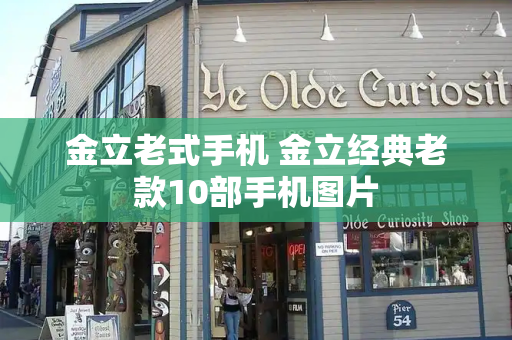 金立老式手机 金立经典老款10部手机图片