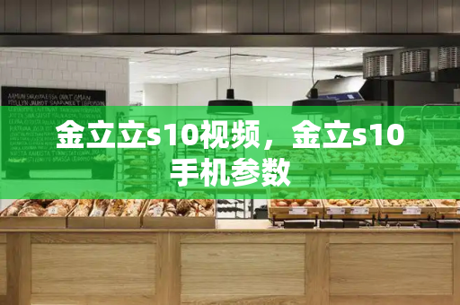 金立立s10视频，金立s10手机参数-第1张图片-星选测评