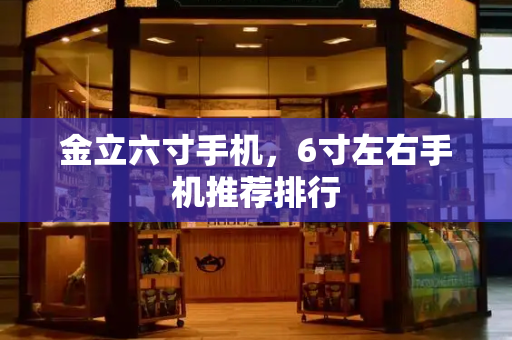 金立六寸手机，6寸左右手机推荐排行
